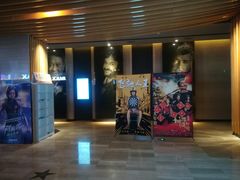 -博纳国际影城IMAX(中央大道店)