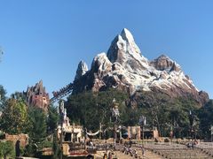 -奥兰多迪士尼动物王国乐园