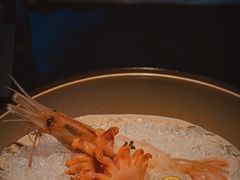 -地球美食剧场