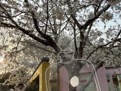 -郑州植物园
