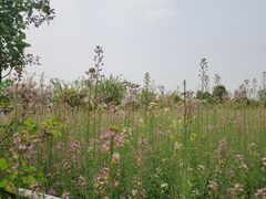 -洪湖家庭农场·团建·露营·会议