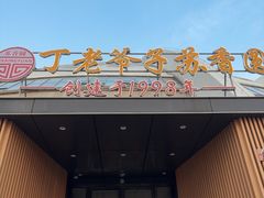 -丁老爷子苏香圆