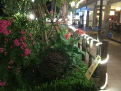 -楠柏弯休闲山庄(梨花溪店)