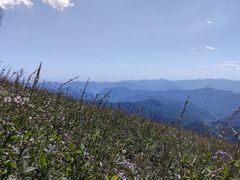 -白草畔自然风景区