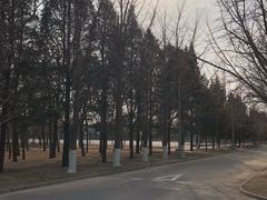 -北京大学(昌平校区)