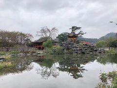 -顺峰山公园