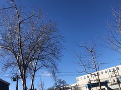 -斯多格书乡(北京大学畅春园店)