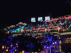 -枇杷园食为鲜火锅(南山店)