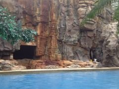 iphone_upload_pic-龙达温泉生态城