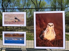 -野鸭湖国家湿地公园