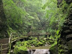 -牛背梁国家森林公园