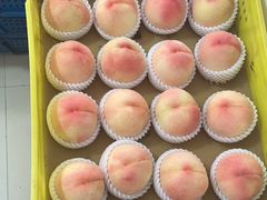 -老袁家蜜桃农场·阳山水蜜桃