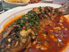 -金熊猫川菜餐厅