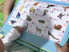 -红樱桃月嫂育婴师(徐汇总店)