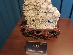 -中华赏石园