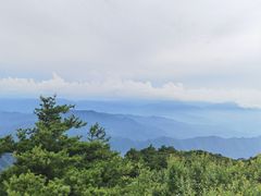 -王顺山国家森林公园