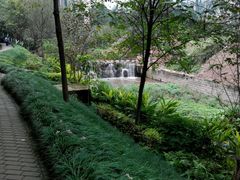 -重庆彩云湖湿地公园