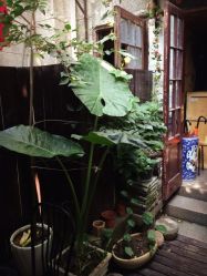 汉刺青纹身工作室HAN TATTOO STUDIO-汉刺青TATTOO STUDIO