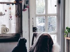 -海边的猫和咖啡馆