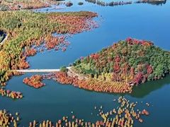 -梅州天地人花园酒店(梅县人民广场店)