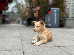 -中国花亭湖风景名胜区-西风禅寺