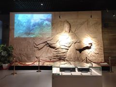 -中国闽台缘博物馆