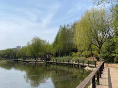 -前关湿地公园