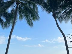 -槟城街头艺术街区