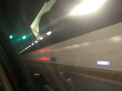 -胶州湾海底隧道