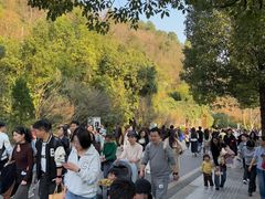 -阿哈湖国家湿地公园