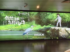-SFC上影百联影城(八佰伴IMAX店)