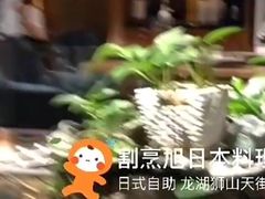 -割烹旭日本料理(龙湖狮山天街店)