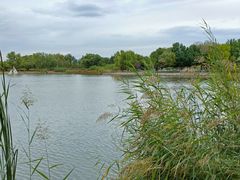 -永定河休闲森林公园