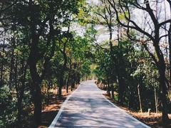 -龙泉图书馆