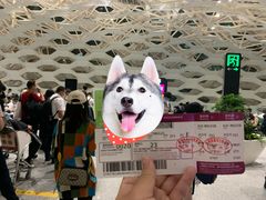 -陈鹏鹏潮汕菜(宝安机场T3航站楼店)