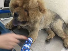 -仁华宠物医院(青羊店)