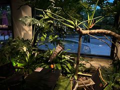 -J Create城市露营咖啡·简餐·宠物(上海动物园店)