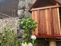 -MOJ coffee(瓯海泽雅水碓坑店)