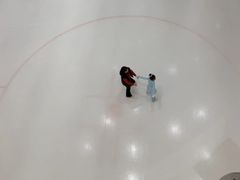 -冰纷万象滑冰场(沈阳万象城店)