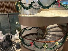 -上海国展宝龙丽筠酒店
