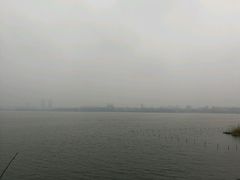-志龙皇冠吃货椰子铺