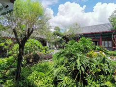 -大亚湾红树林城市湿地公园