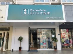 -菩叶脱发白发中心