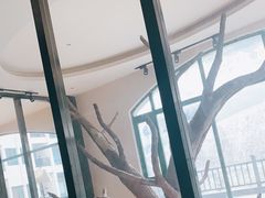 -洛阳白云山景区