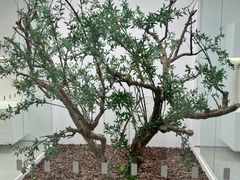 -极简口腔(总院)