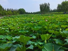 -渔岛海洋度假区