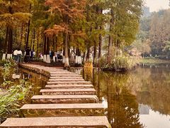 -重庆彩云湖湿地公园