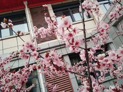 -花溪公园