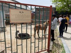 -有喜胶东小馆(超极合生汇太申祥和店)