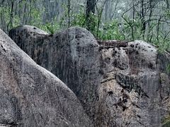 -玉苍山国家森林公园